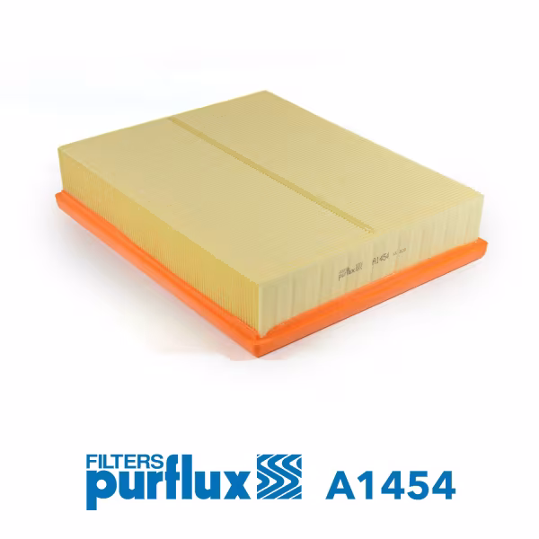 PURFLUX Filtro aria