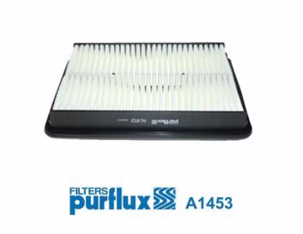 PURFLUX Filtro aria