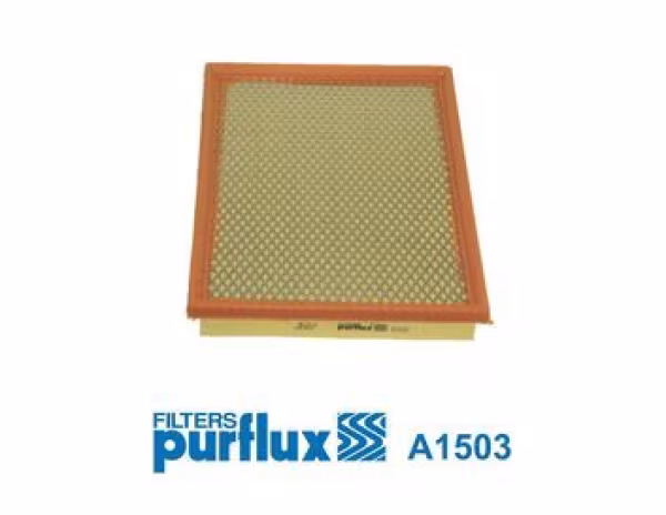 PURFLUX Filtro aria
