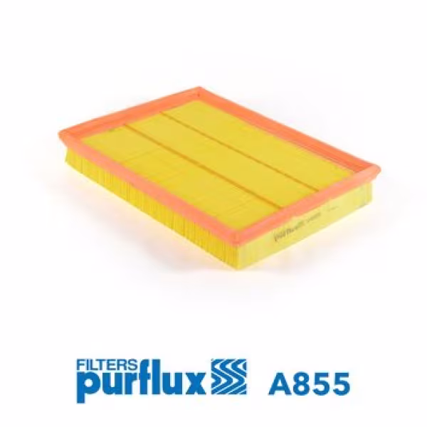 PURFLUX Filtro aria