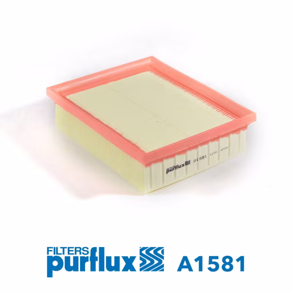 PURFLUX Filtro aria