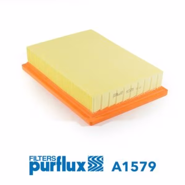 PURFLUX Filtro aria