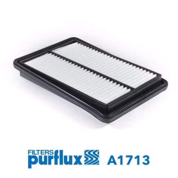 PURFLUX Filtro aria