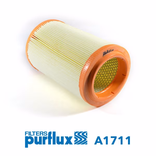PURFLUX Filtro aria