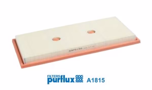 PURFLUX Filtro aria