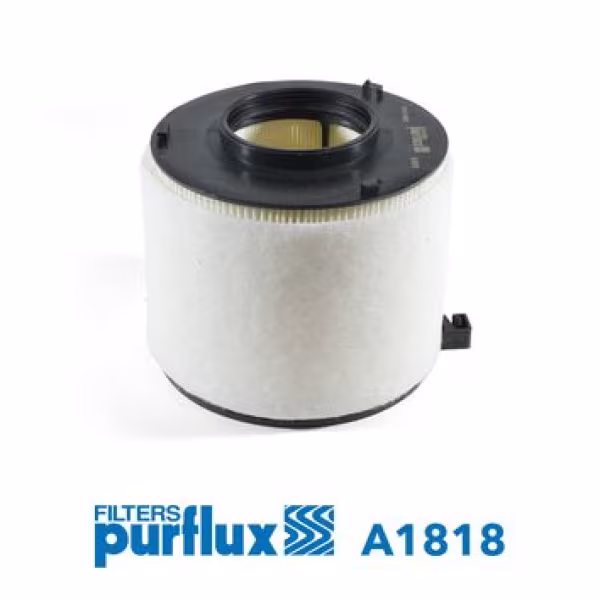 PURFLUX Filtro aria