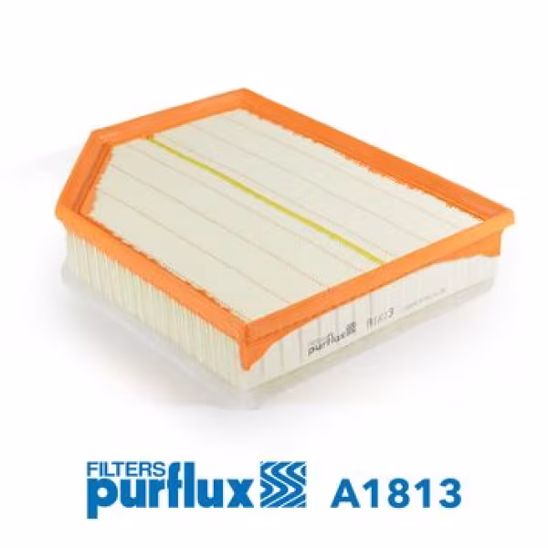 PURFLUX Filtro aria