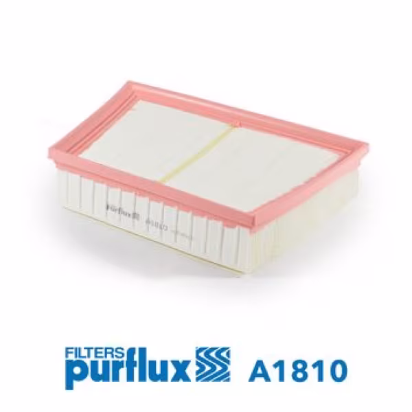 PURFLUX Filtro aria