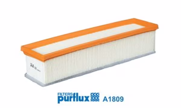 PURFLUX Filtro aria
