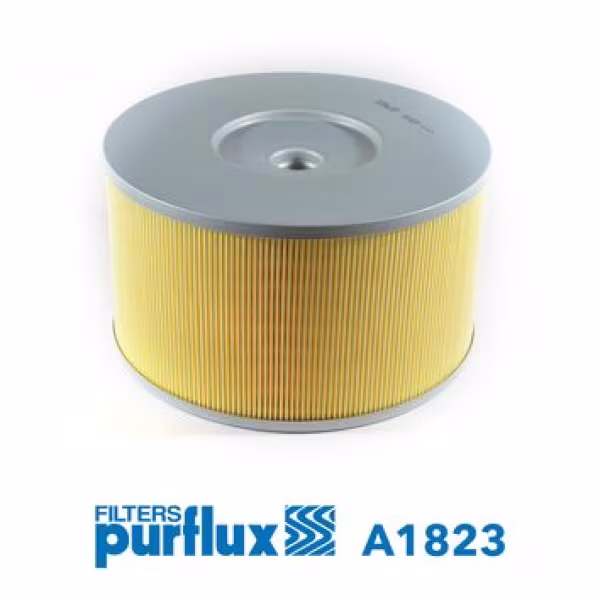 PURFLUX Filtro aria