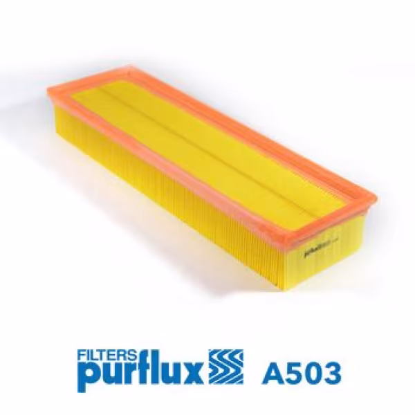 PURFLUX Filtro aria
