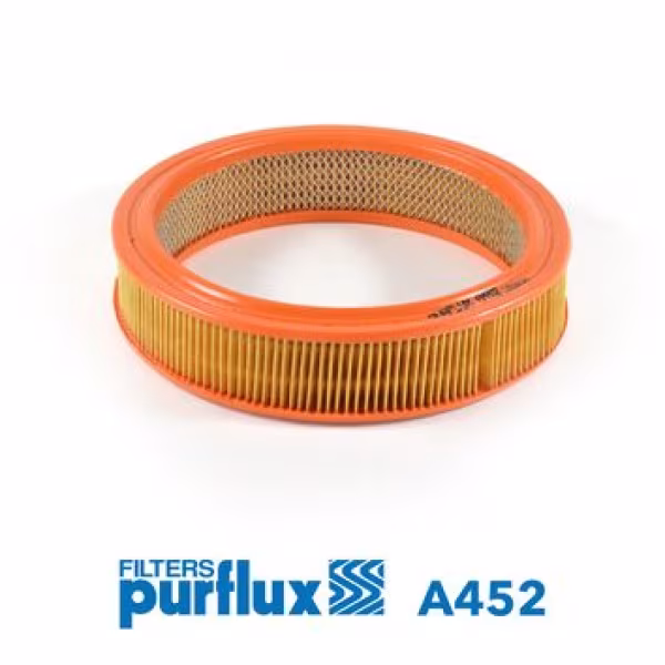 PURFLUX Filtro aria
