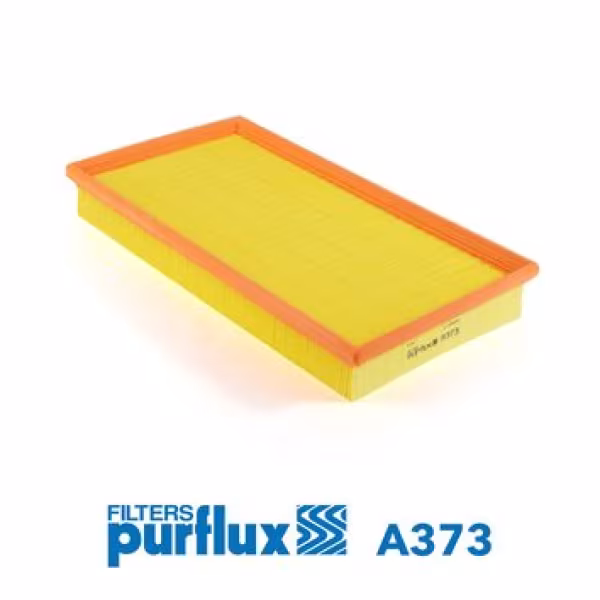 PURFLUX Filtro aria