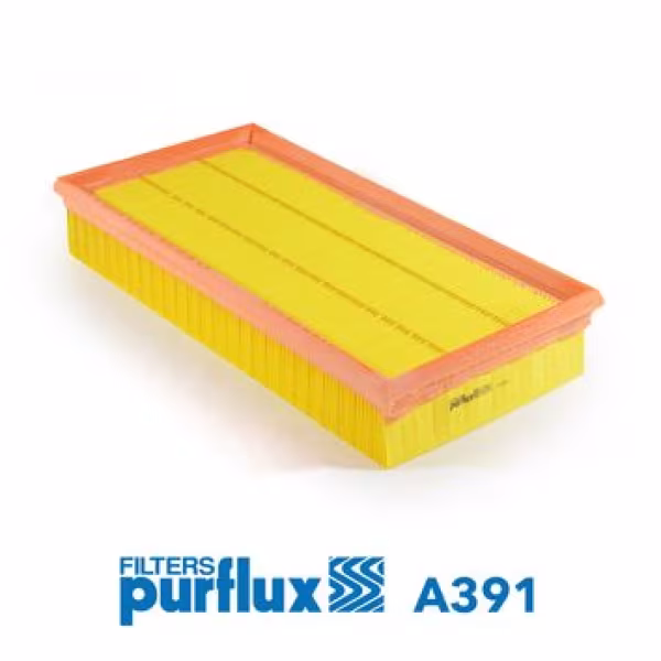 PURFLUX Filtro aria
