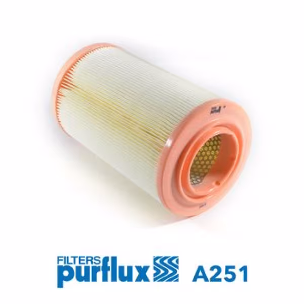 PURFLUX Filtro aria