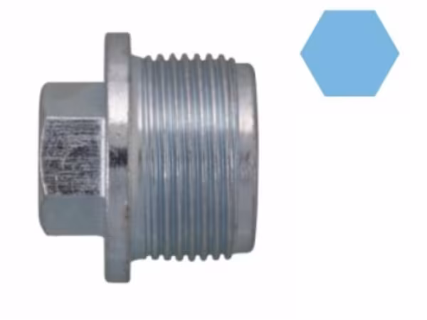 Vite di chiusura, vaschetta dell\'olio