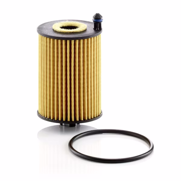 MANN-FILTER Filtro olio