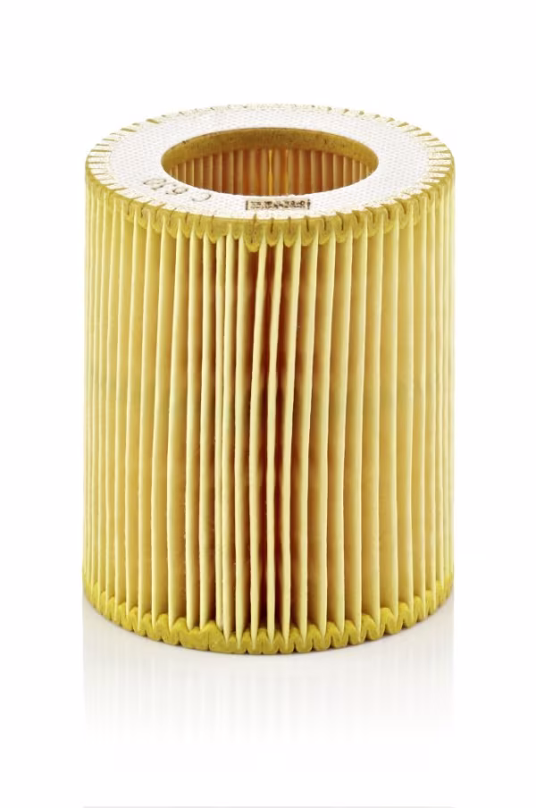 MANN-FILTER Filtro aria