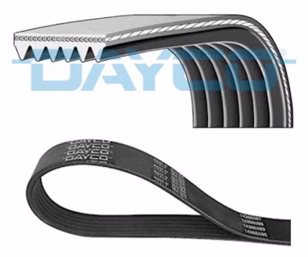 DAYCO Cinghia Poly-V