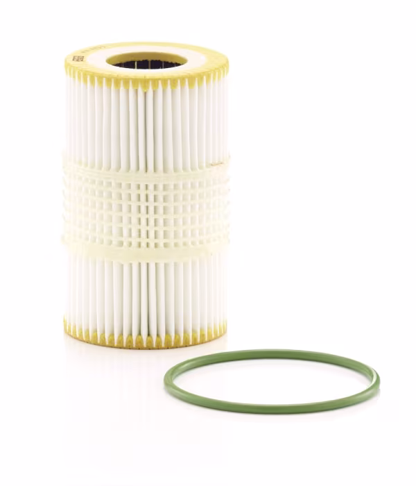 MANN-FILTER Filtro olio