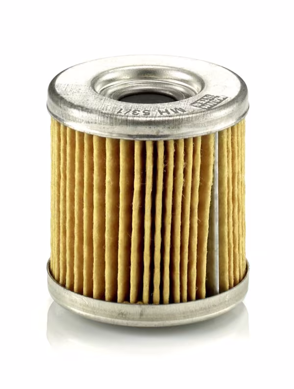MANN-FILTER Filtro olio