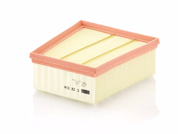 MANN-FILTER Filtro aria