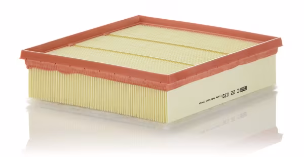 MANN-FILTER Filtro aria