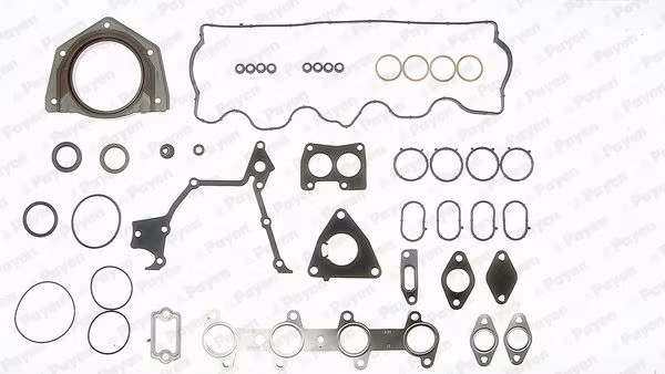 PAYEN Kit completo guarnizioni, Motore