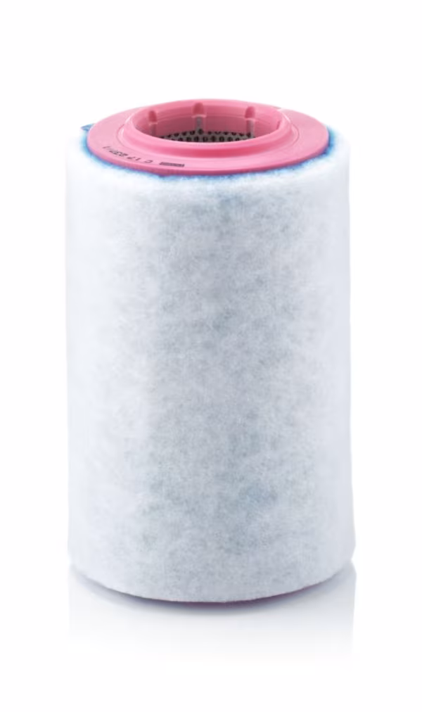 MANN-FILTER Filtro aria