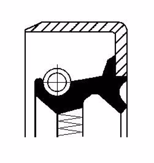 Paraolio, mozzo ruota