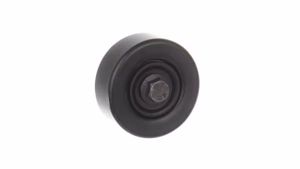 SKF Galoppino/Guidacinghia, Cinghia Poly-V