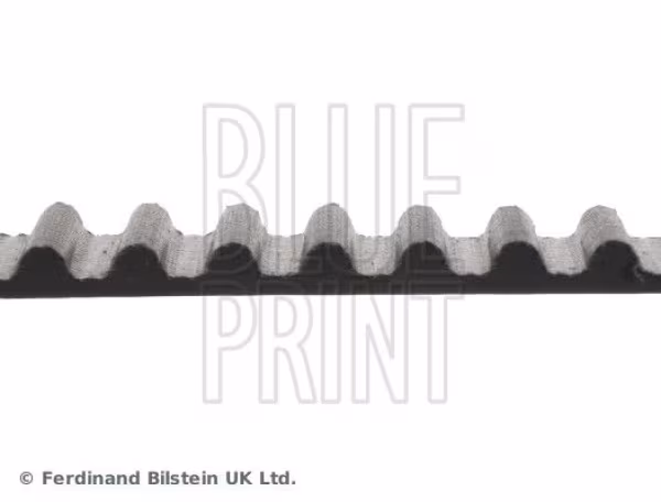 BLUE PRINT Cinghia dentata