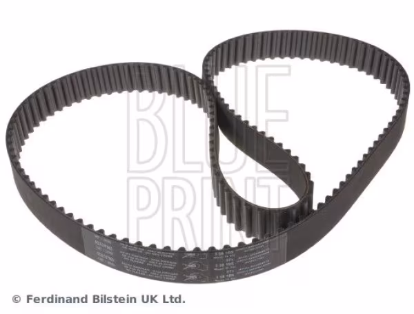 BLUE PRINT Cinghia dentata
