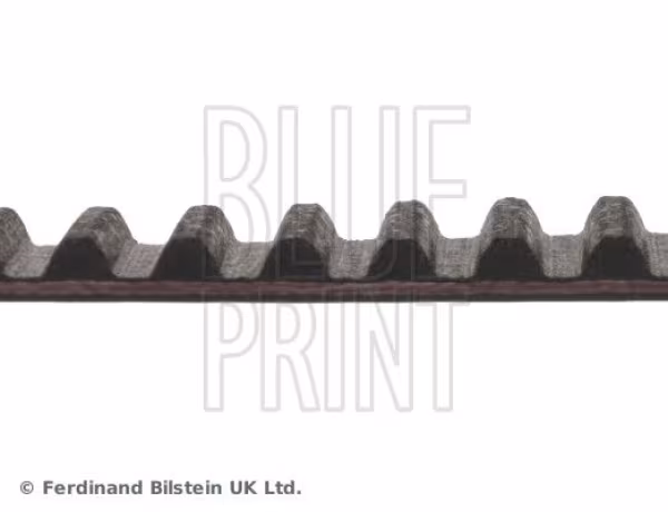 BLUE PRINT Cinghia dentata