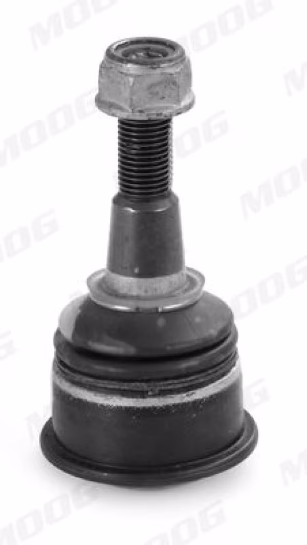 MOOG Giunto di supporto / guida
