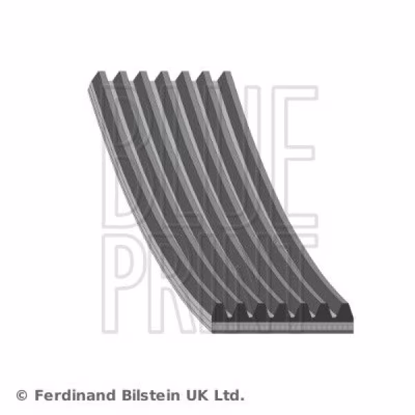 BLUE PRINT Cinghia Poly-V