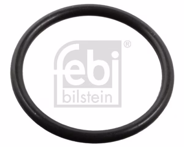 FEBI BILSTEIN Anello tenuta, Iniettore
