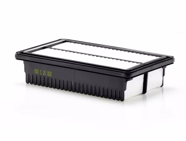 MANN-FILTER Filtro aria