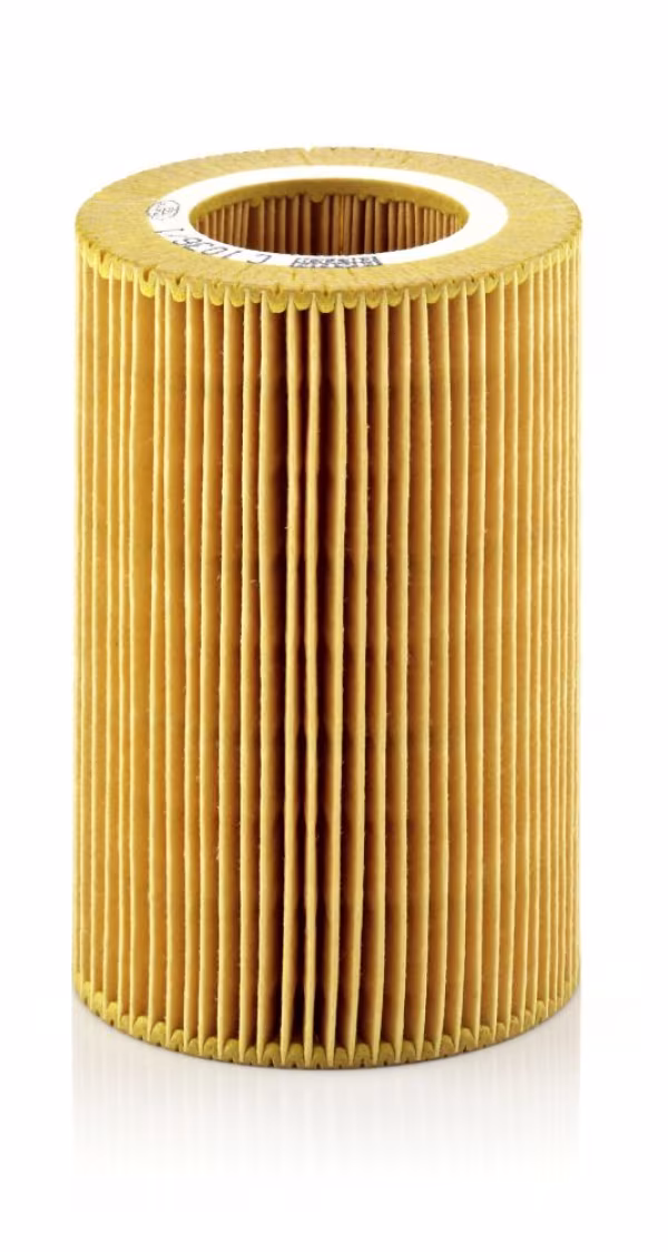 MANN-FILTER Filtro aria