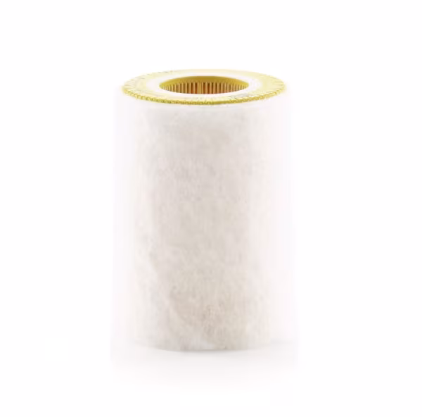 MANN-FILTER Filtro aria