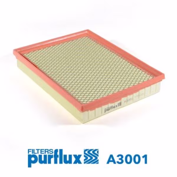 PURFLUX Filtro aria