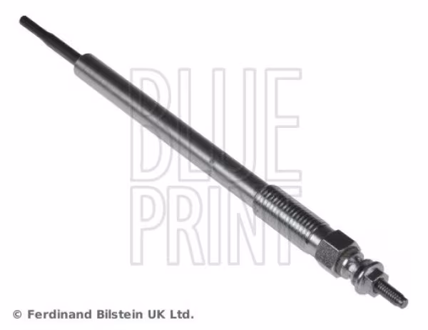 BLUE PRINT Candeletta