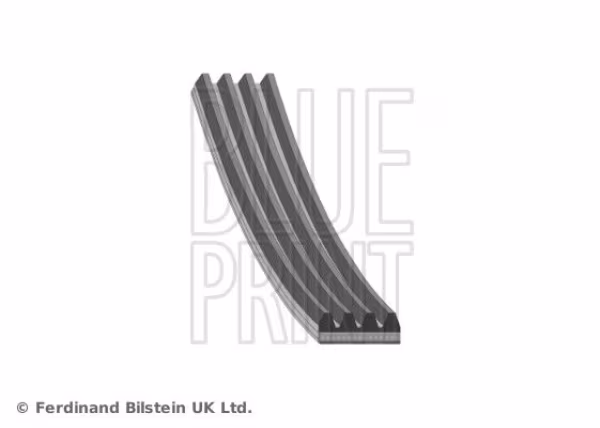 BLUE PRINT Cinghia Poly-V