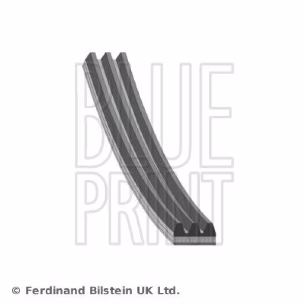 BLUE PRINT Cinghia Poly-V