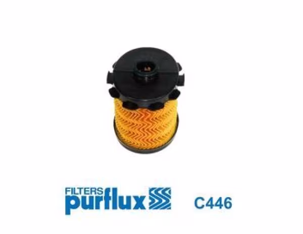 PURFLUX Filtro carburante