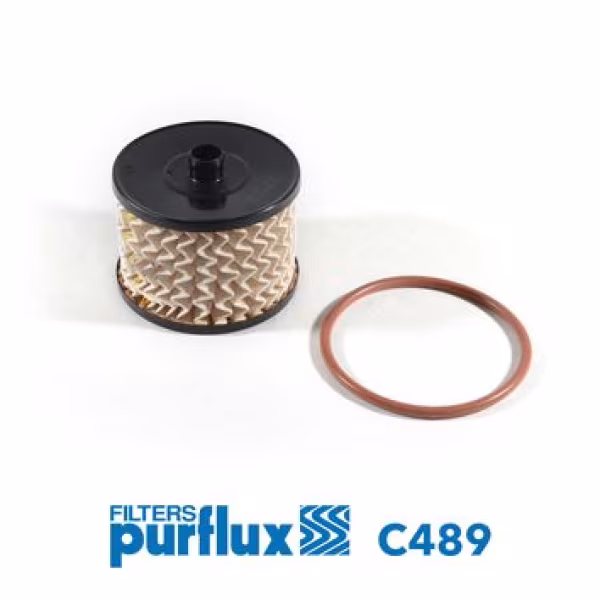 PURFLUX Filtro carburante