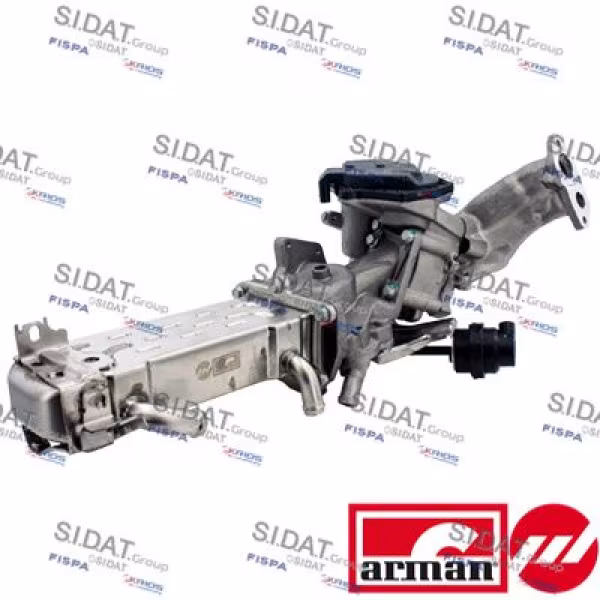 SIDAT Modulo EGR