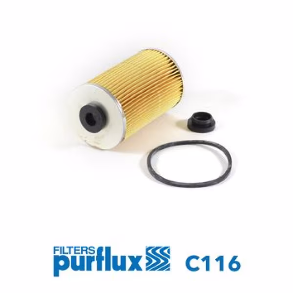 PURFLUX Filtro carburante