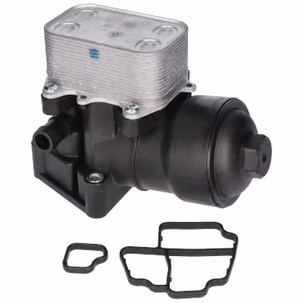 BIRTH Radiatore olio, Olio motore