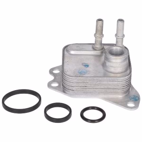 BIRTH Radiatore olio, Olio motore